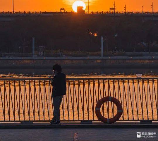 门徒平台登录：为追讨彩礼，闹上法庭的深圳年轻人