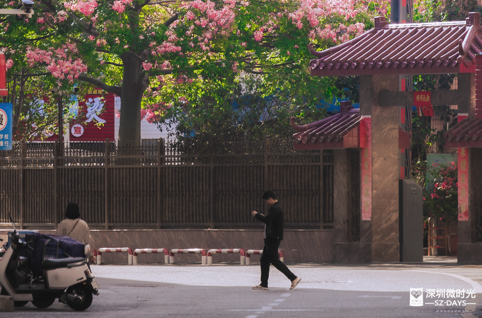 门徒平台登录：为追讨彩礼，闹上法庭的深圳年轻人