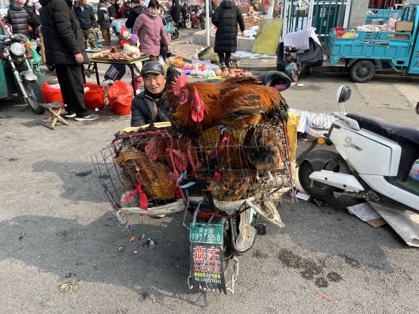 门徒娱乐登录：泰山脚下，年味正浓