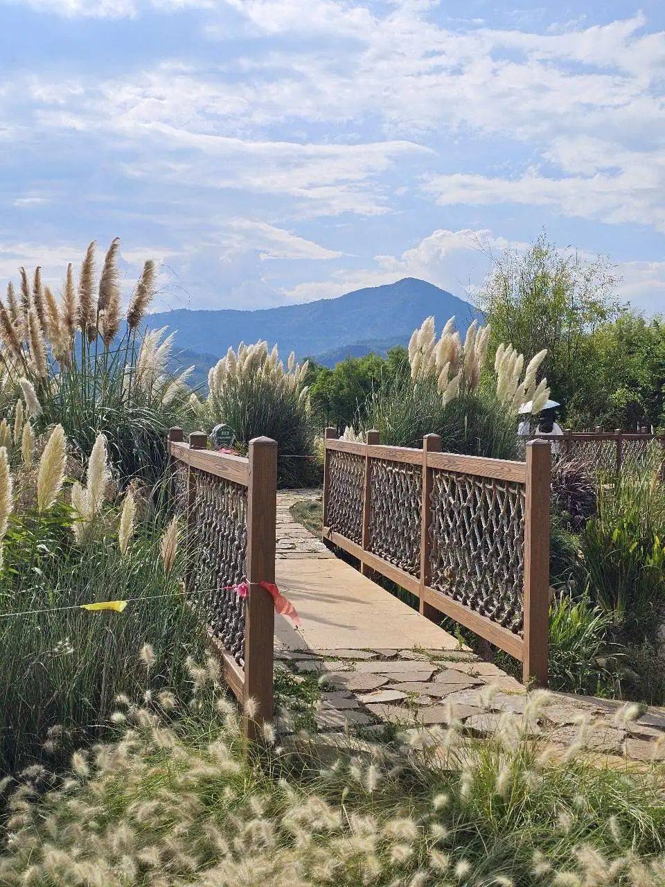 门徒娱乐:天堂在左,雨崩在右