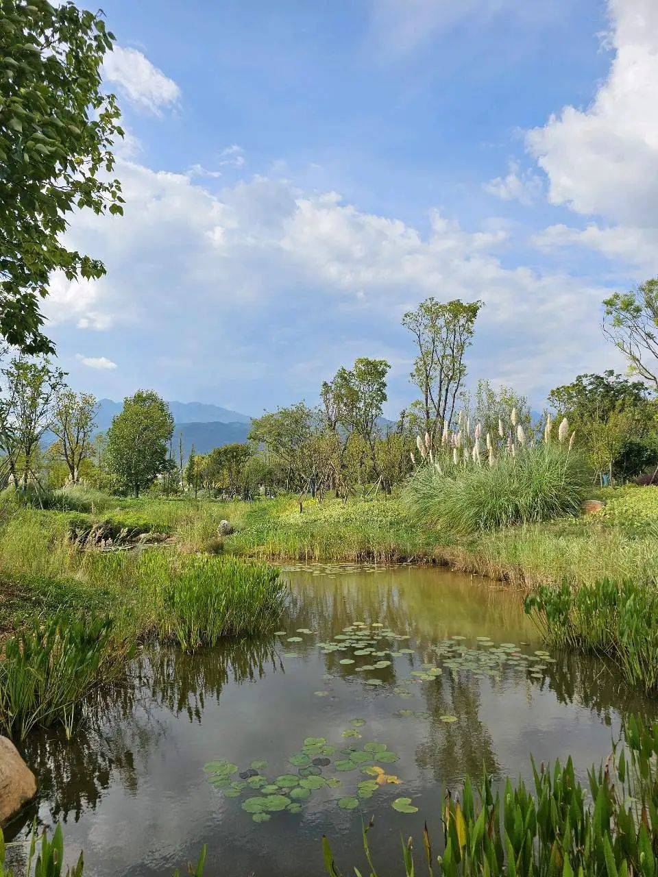 门徒娱乐:天堂在左,雨崩在右
