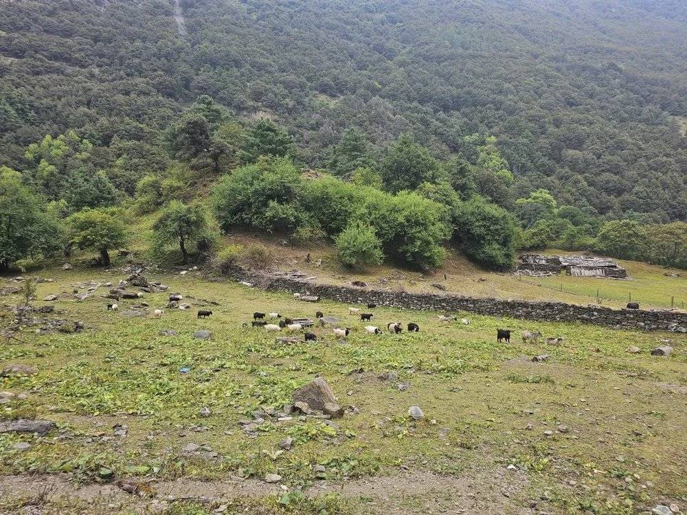 门徒娱乐:天堂在左,雨崩在右