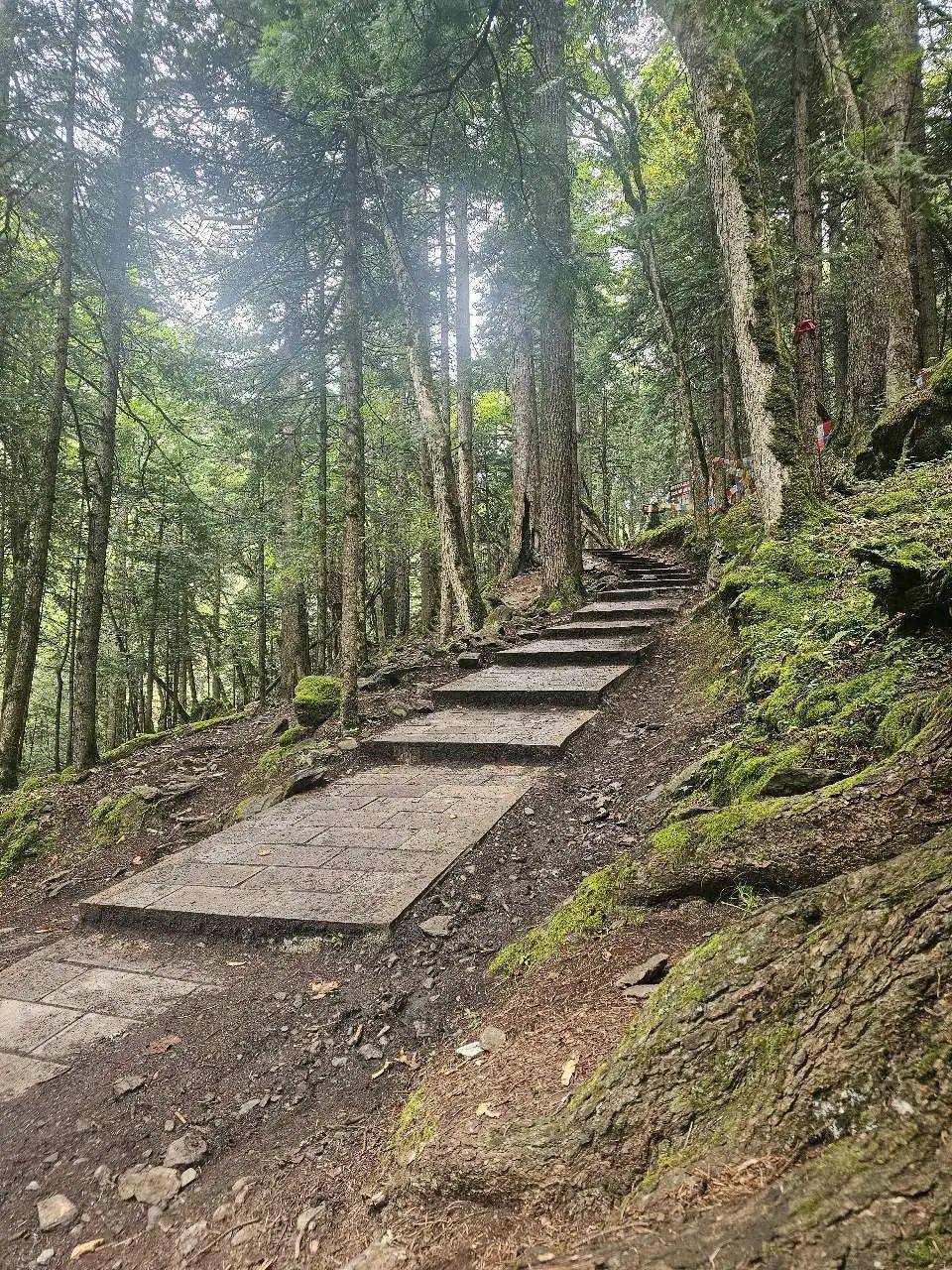 门徒娱乐:天堂在左,雨崩在右