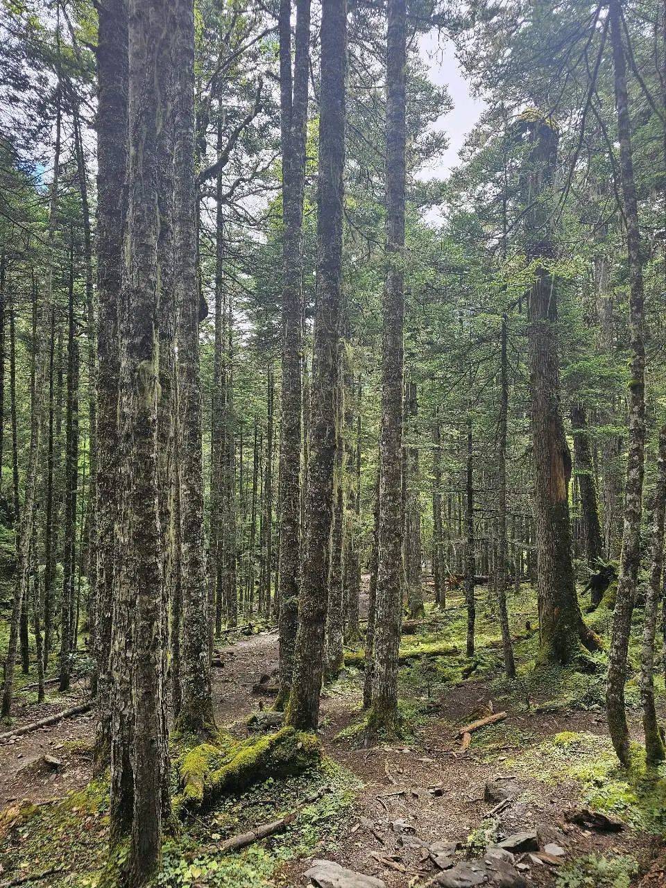 门徒娱乐:天堂在左,雨崩在右