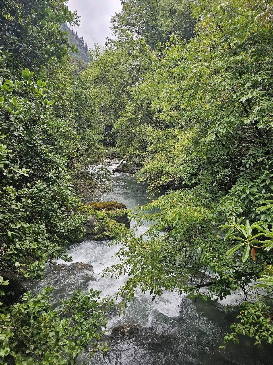 门徒娱乐:天堂在左,雨崩在右